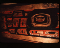 Tlingit%20artist%2C%20%3Cb%3E%3Ci%3E%20House%20Panels%3C%2Fi%3E%3C%2Fb%3E%2C%20late%2019th%20century%2C%20paint%20on%20wood%20with%20opercula%20shell%20inlay%2C%20Museum%20Purchase%3A%20Indian%20Collection%20Subscription%20Fund%2C%20Rasmussen%20Collection%20of%20Northwest%20Coast%20Indian%20Art%2C%20no%20known%20copyright%20restrictions%2C%2048.3.529A-D